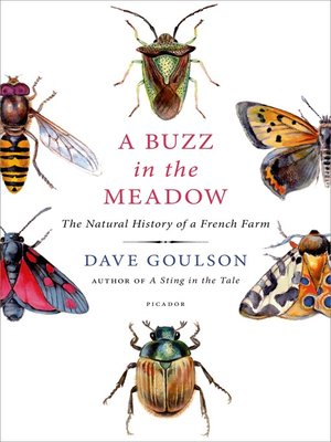 cover image of A Buzz in the Meadow
